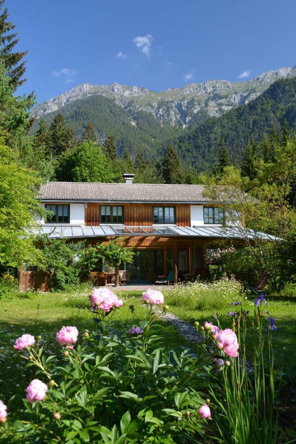 Petra Maria Soelle - Ferienhaus Sehr Privat Presseggersee Ngoại thất bức ảnh